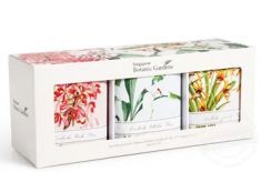  櫥窗紙盒包裝制作定制選項(xiàng) 紙盒包裝制作廠家[吉彩四方]