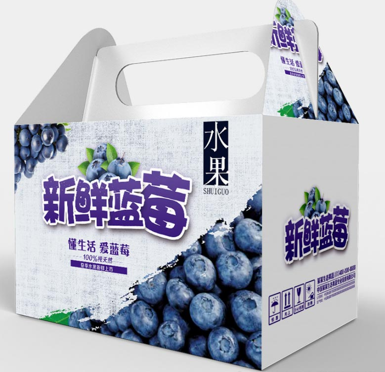 定制水果包裝盒 設計圖