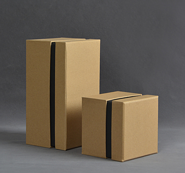 包裝盒包裝廠家 案例圖