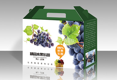 彩箱包裝 盒型展示