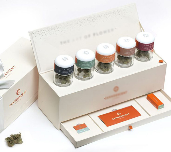 漂亮的禮品盒 漂亮的禮品盒